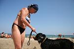    
: IMG_7905.jpg
: 19
:	78.7 
ID:	6682103