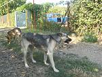     
: IMG_2194.jpg
: 8
:	249.8 
ID:	6691041