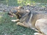     
: IMG_2192.jpg
: 6
:	177.9 
ID:	6691044