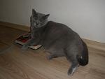     
: P8101582.jpg
: 7
:	75.7 
ID:	6691958