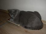     
: P8101584.jpg
: 5
:	76.4 
ID:	6691961