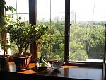     
: IMG_1576.jpg
: 25
:	200.6 
ID:	6693939