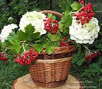     
: 1fa0ea8.jpg
: 4
:	136.3 
ID:	6694126