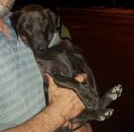     
: 20130820_205959.jpg
: 49
:	64.9 
ID:	6697620