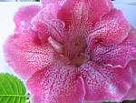     
: IMG_8172.jpg
: 14
:	99.5 
ID:	6700816