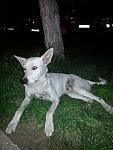     
: 20130805_232142.jpg
: 9
:	103.9 
ID:	6700838