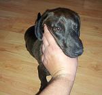     
: 20130821_085928.jpg
: 62
:	68.4 
ID:	6700992