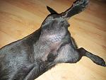     
: 20130821_085903.jpg
: 43
:	81.1 
ID:	6700993