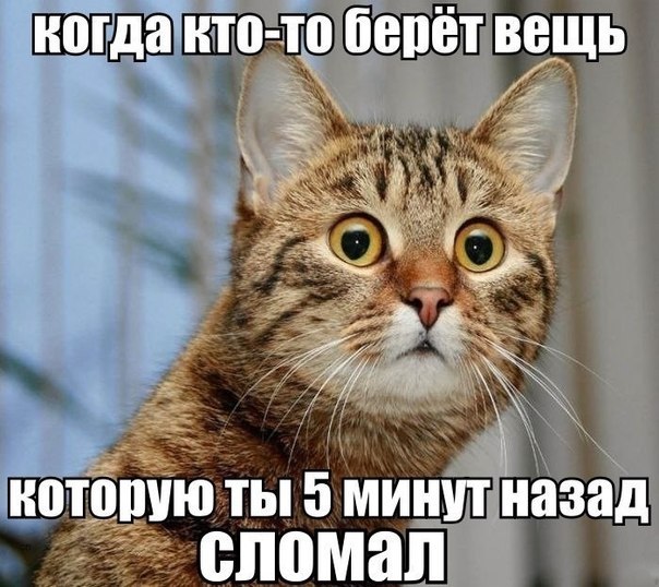     
: d-KJBfdVWhc.jpg
: 6
:	84.8 
ID:	6703367