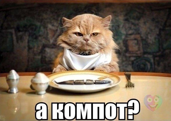     
: tzShj6pXZ8A.jpg
: 2
:	43.3 
ID:	6703840