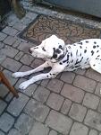     
: 2013-08-22 15.07.05.jpg
: 18
:	88.8 
ID:	6705802