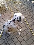     
: 2013-08-22 15.02.26.jpg
: 13
:	110.8 
ID:	6705804