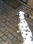     
: 2013-08-22 15.02.07.jpg
: 20
:	87.7 
ID:	6705805