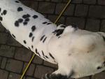     
: 2013-08-22 15.06.32.jpg
: 16
:	85.5 
ID:	6705806