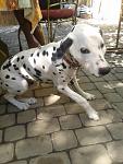     
: 2013-08-22 15.01.52.jpg
: 18
:	91.6 
ID:	6705807
