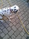     
: 2013-08-22 15.02.20.jpg
: 19
:	102.0 
ID:	6705808