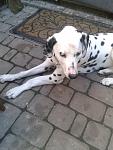     
: 2013-08-22 15.07.12.jpg
: 19
:	93.2 
ID:	6705810