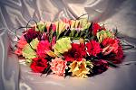     
: GFRANQ_VENERA_MILOSSKAYA_45057422_BIPLANE.jpg
: 3
:	131.8 
ID:	6708044