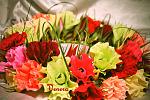     
: GFRANQ_VENERA_MILOSSKAYA_45057587_FLASHBACK.jpg
: 5
:	153.6 
ID:	6708047