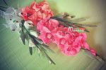     
: GFRANQ_VENERA_MILOSSKAYA_45057902_CAROUSEL.jpg
: 7
:	153.5 
ID:	6708054