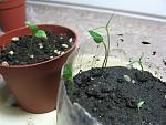     
: IMG_1951.jpg
: 16
:	114.9 
ID:	6708276