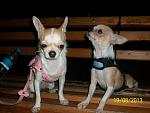     
: uz0LnwCrgy8.jpg
: 9
:	50.3 
ID:	6709957