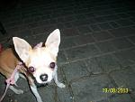     
: cKwUo_7fGgA.jpg
: 6
:	58.6 
ID:	6709961