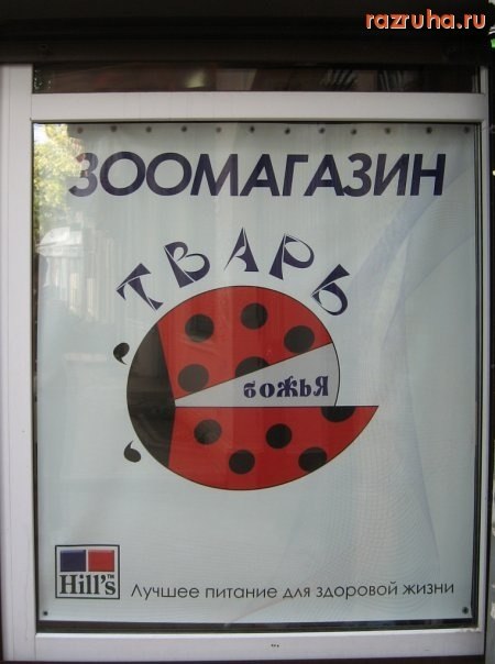     
: 36XmXf2vgys.jpg
: 7
:	44.2 
ID:	6710115