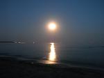     
: P8210318.jpg
: 20
:	81.2 
ID:	6711043