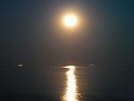     
: P8210320.jpg
: 17
:	94.8 
ID:	6711048