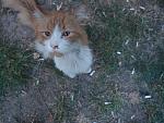     
: P8231735.jpg
: 7
:	122.2 
ID:	6712081