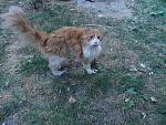     
: P8231738.jpg
: 6
:	225.7 
ID:	6712090