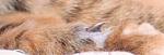     
: DSC_0464_1.jpg
: 5
:	4.9 
ID:	6717943