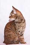     
: DSC_0401_1.jpg
: 2
:	32.9 
ID:	6717954