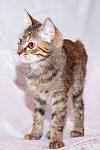     
: DSC_0418_1.jpg
: 5
:	31.0 
ID:	6717960