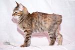     
: DSC_0431_2.jpg
: 4
:	30.8 
ID:	6717962