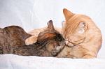     
: DSC_0460_2.jpg
: 4
:	28.7 
ID:	6717967