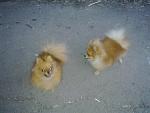     
: Фото2123.jpg
: 15
:	293.1 
ID:	6719007