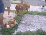     
: Фото2105.jpg
: 13
:	183.9 
ID:	6719010