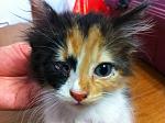     
: IMG_1211.jpg
: 10
:	145.0 
ID:	6720683