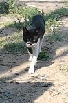     
: Фото1420-2.jpg
: 13
:	293.1 
ID:	6720700