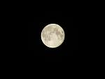     
: IMG_8068.jpg
: 25
:	28.0 
ID:	6720783