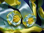     
: b7a4ad5.jpg
: 3
:	100.3 
ID:	6732056