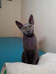     
: OhNRYytQPEo.jpg
: 19
:	102.9 
ID:	6732077
