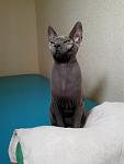     
: xZ3H-oL3u20.jpg
: 26
:	106.7 
ID:	6732078