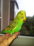     
: 20130827_161105.jpg
: 26
:	75.8 
ID:	6733927