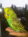     
: 20130827_161638.jpg
: 50
:	85.9 
ID:	6733939
