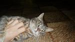     
: SAM_3111.jpg
: 10
:	41.6 
ID:	6734786