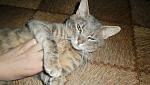     
: SAM_3107.jpg
: 16
:	53.8 
ID:	6734790