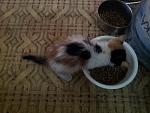     
: 20130828_121723.jpg
: 5
:	114.7 
ID:	6734936